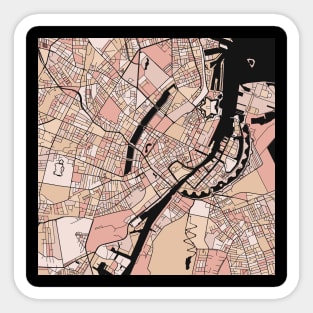 Copenhagen Map Pattern in Soft Pink Pastels Sticker